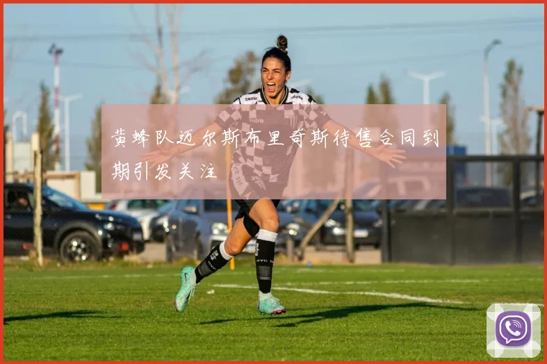 黄蜂队迈尔斯布里奇斯待售合同到期引发关注