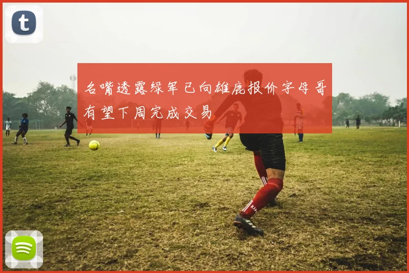 名嘴透露绿军已向雄鹿报价字母哥有望下周完成交易